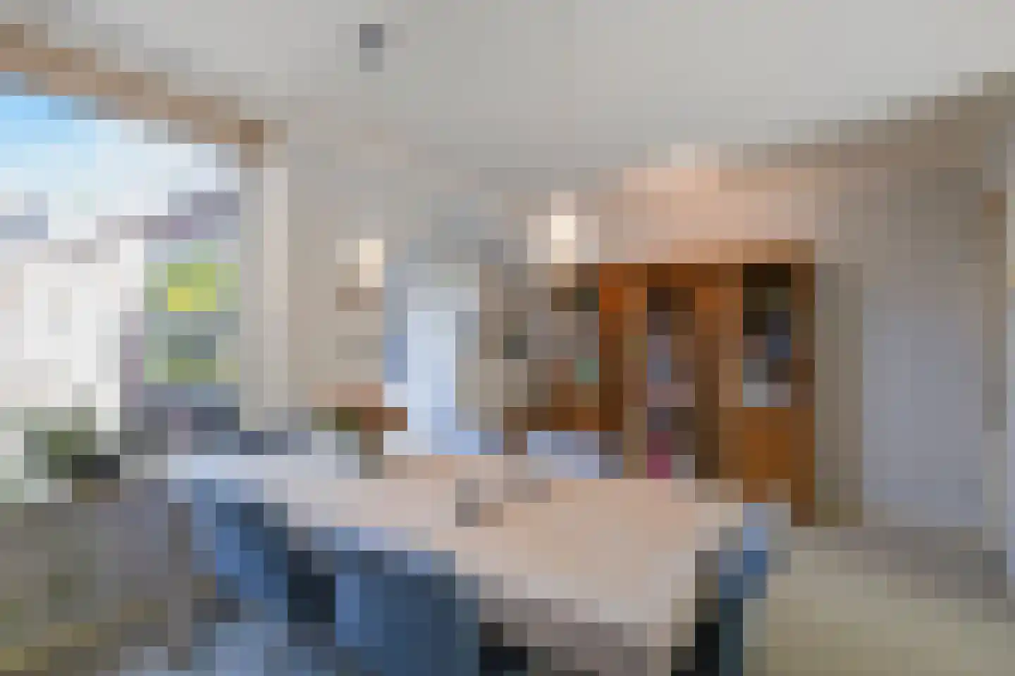 Meeuwenstraat 21 Den Helder thumbnail 10