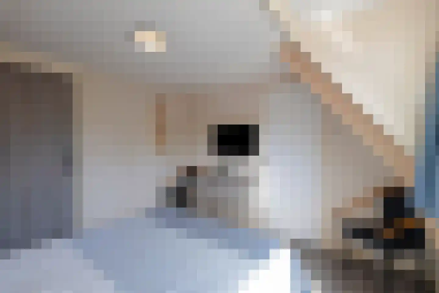 Meeuwenstraat 21 Den Helder thumbnail 21