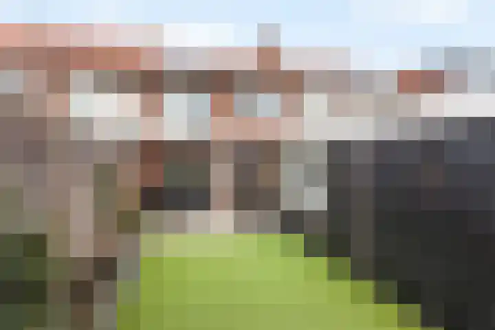 Meeuwenstraat 22 Oldenzaal thumbnail 19