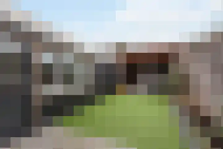 Meeuwenstraat 22 Oldenzaal thumbnail 20
