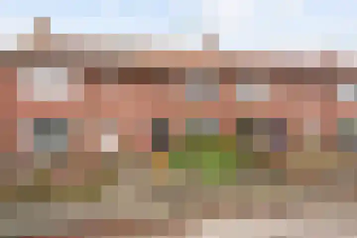 Meeuwenstraat 22 Oldenzaal thumbnail 5