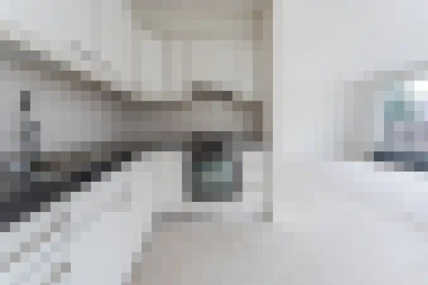 Meeuwenstraat 23 Hoofddorp thumbnail 13