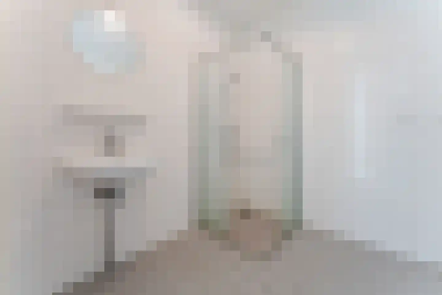 Meeuwenstraat 23 Hoofddorp thumbnail 19