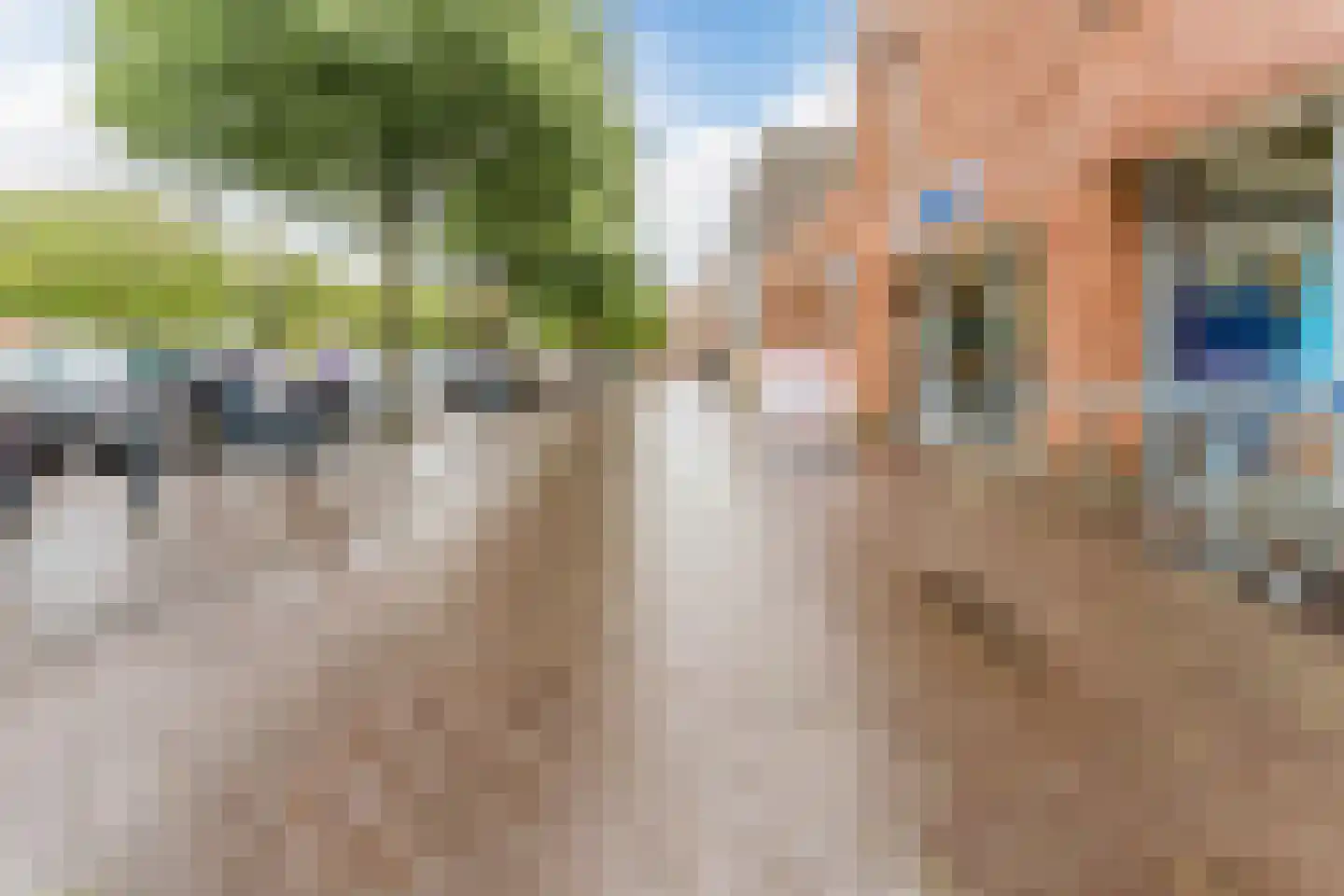 Meeuwenstraat 23 Hoofddorp thumbnail 22