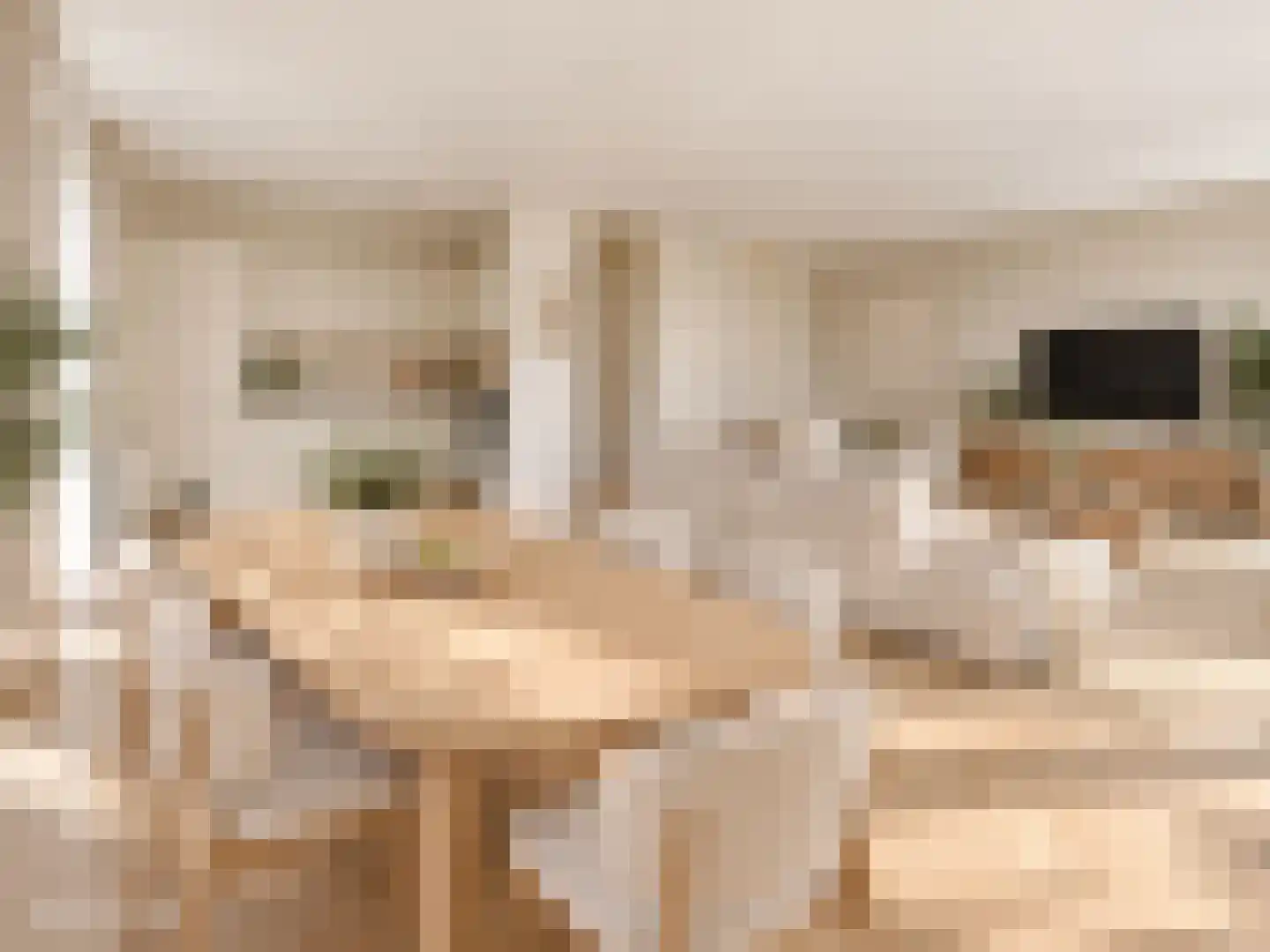 Meeuwenstraat 23 Hoofddorp thumbnail 9
