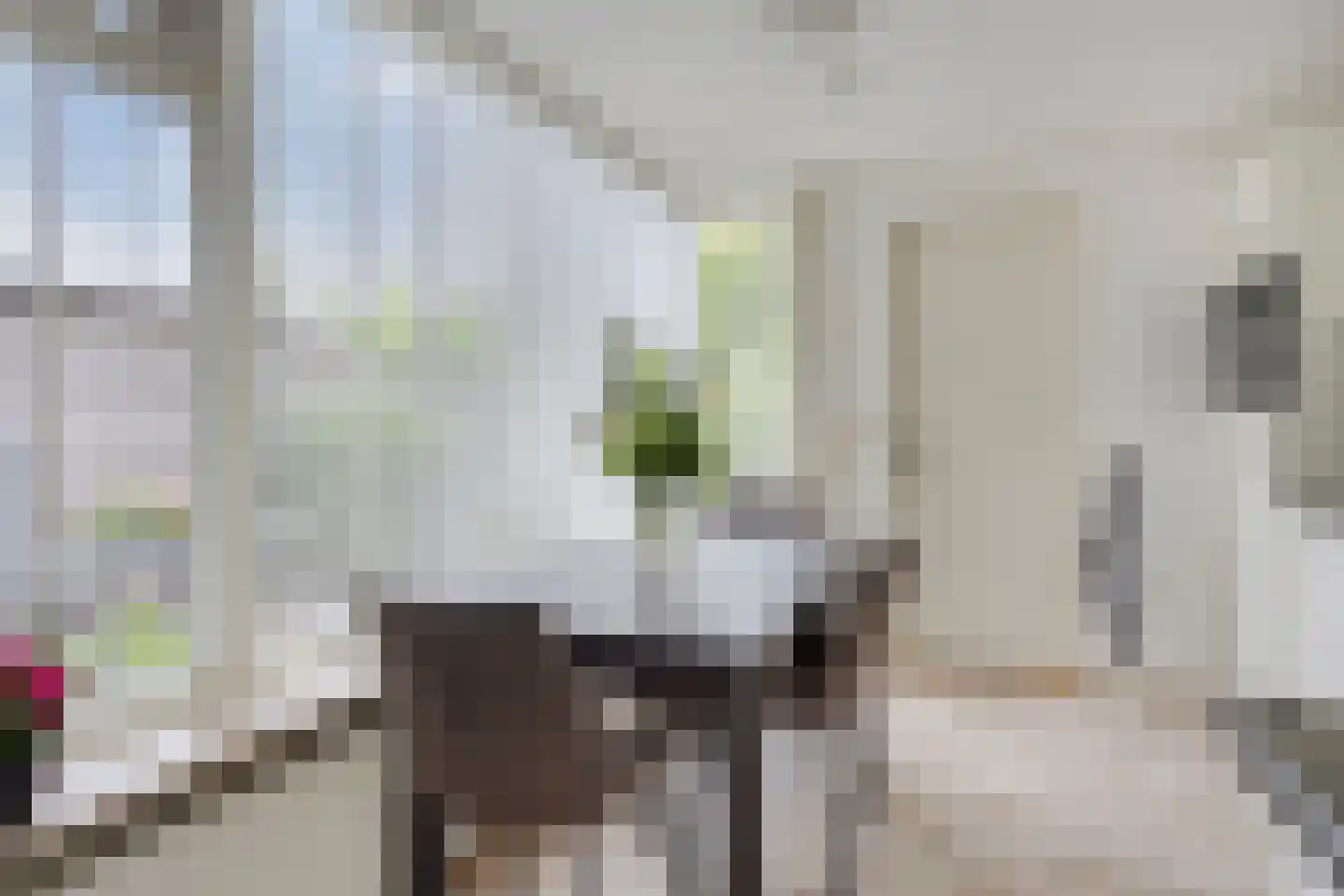 Meeuwenstraat 25 Oldenzaal thumbnail 12