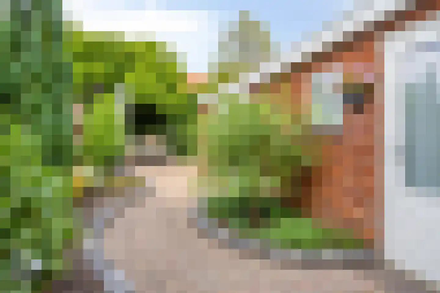 Meeuwenstraat 25 Oldenzaal thumbnail 22