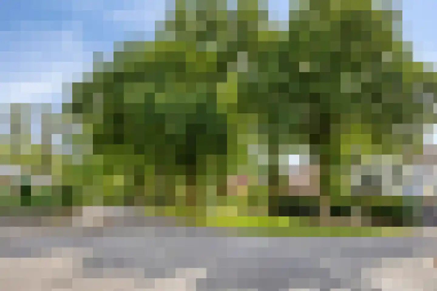 Meeuwenstraat 25 Oldenzaal thumbnail 26