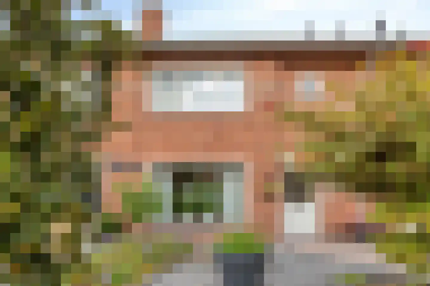 Meeuwenstraat 25 Oldenzaal thumbnail 4