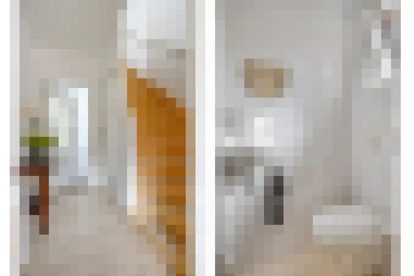 Meeuwenstraat 25 Oldenzaal thumbnail 5