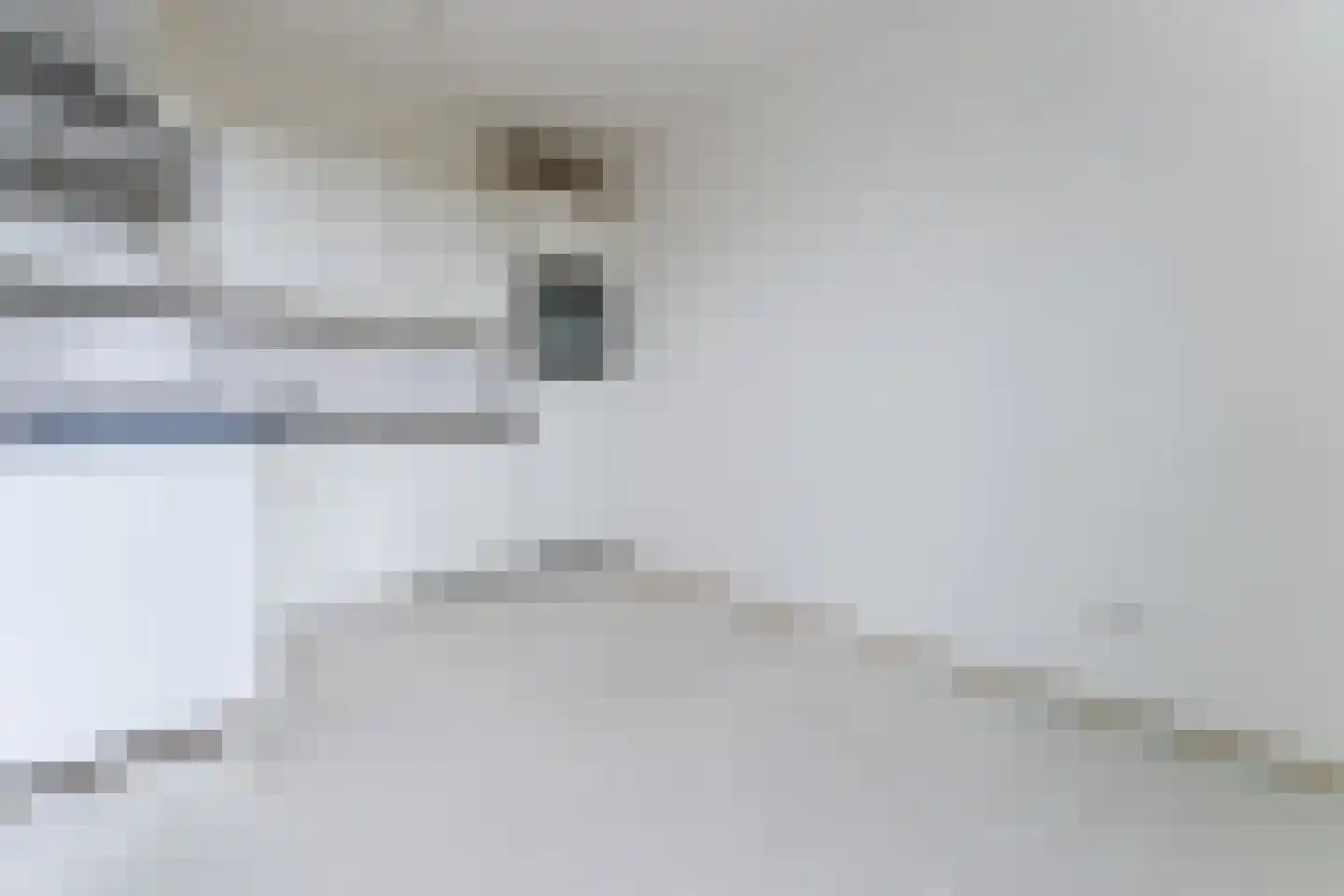 Meeuwenstraat 27 Hoofddorp thumbnail 12