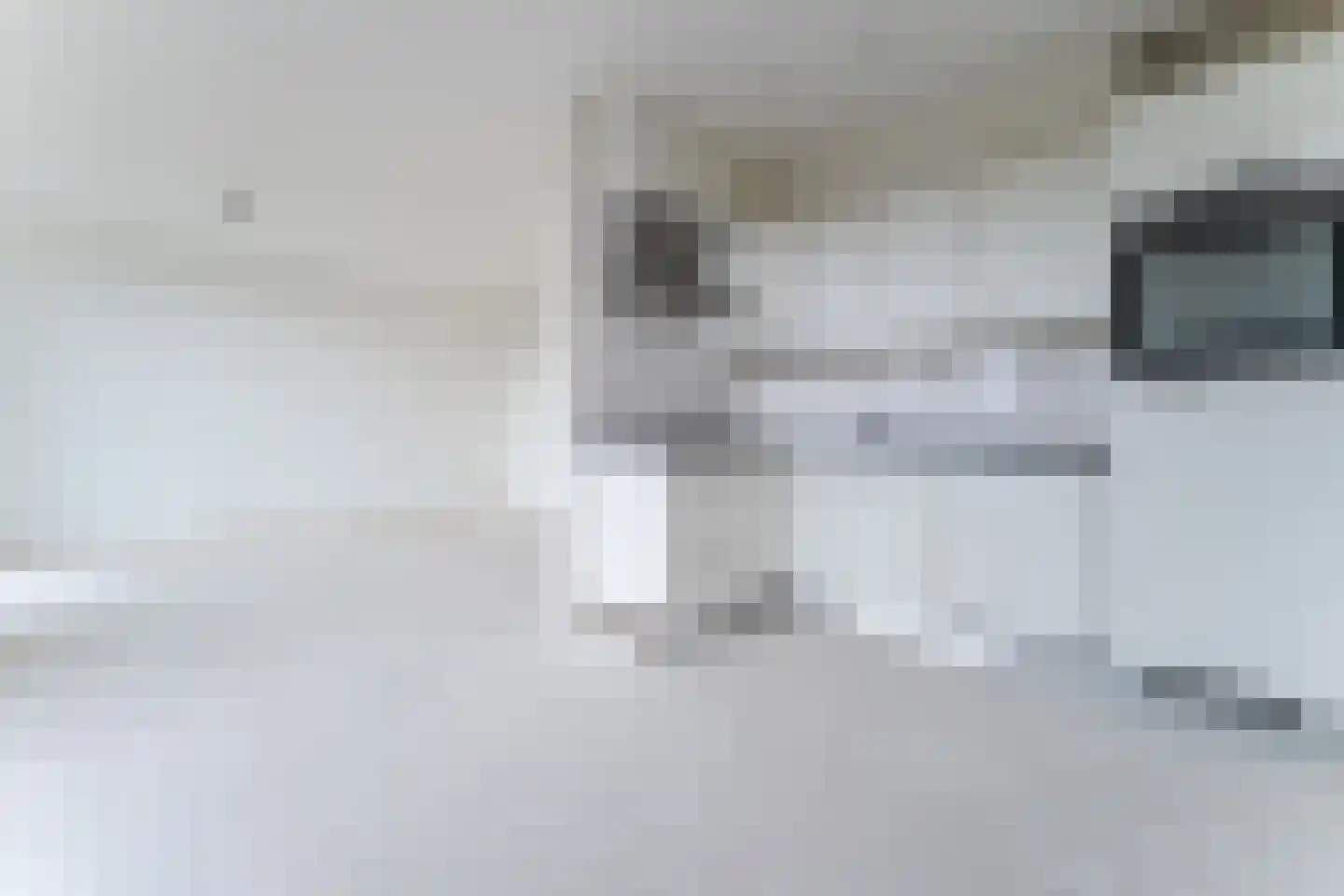 Meeuwenstraat 27 Hoofddorp thumbnail 15
