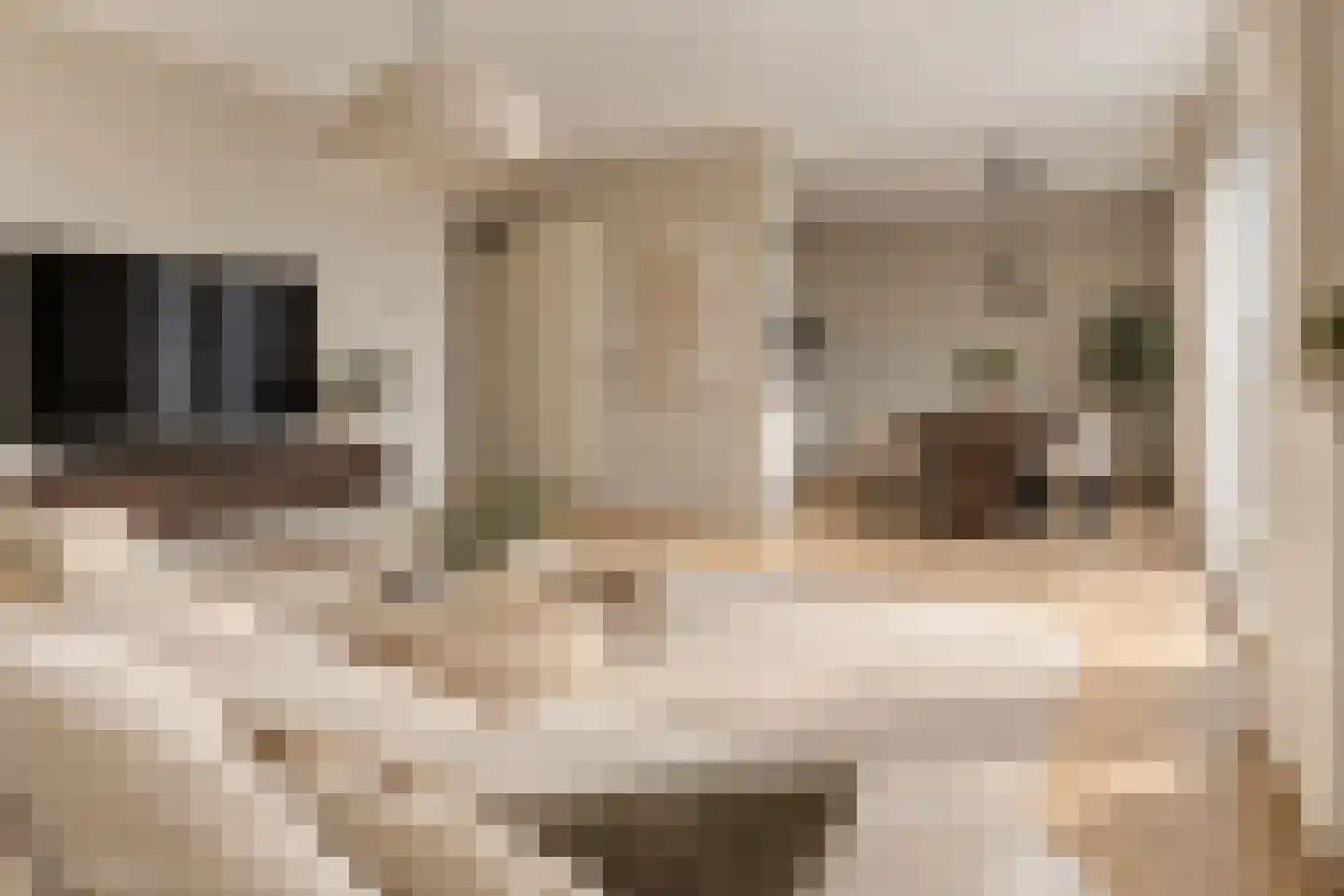 Meeuwenstraat 27 Hoofddorp thumbnail 9