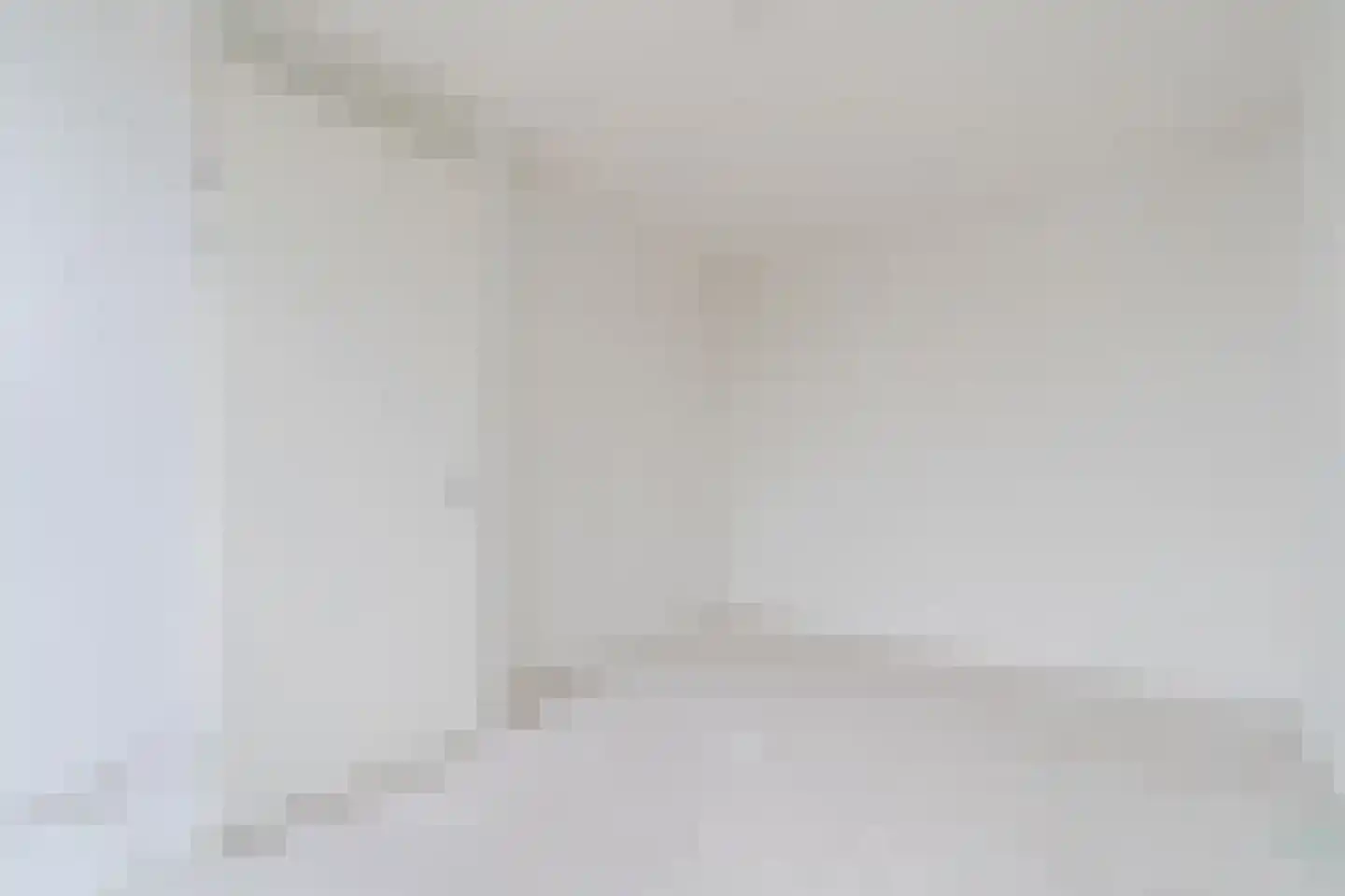 Meeuwenstraat 29 Hoofddorp thumbnail 10