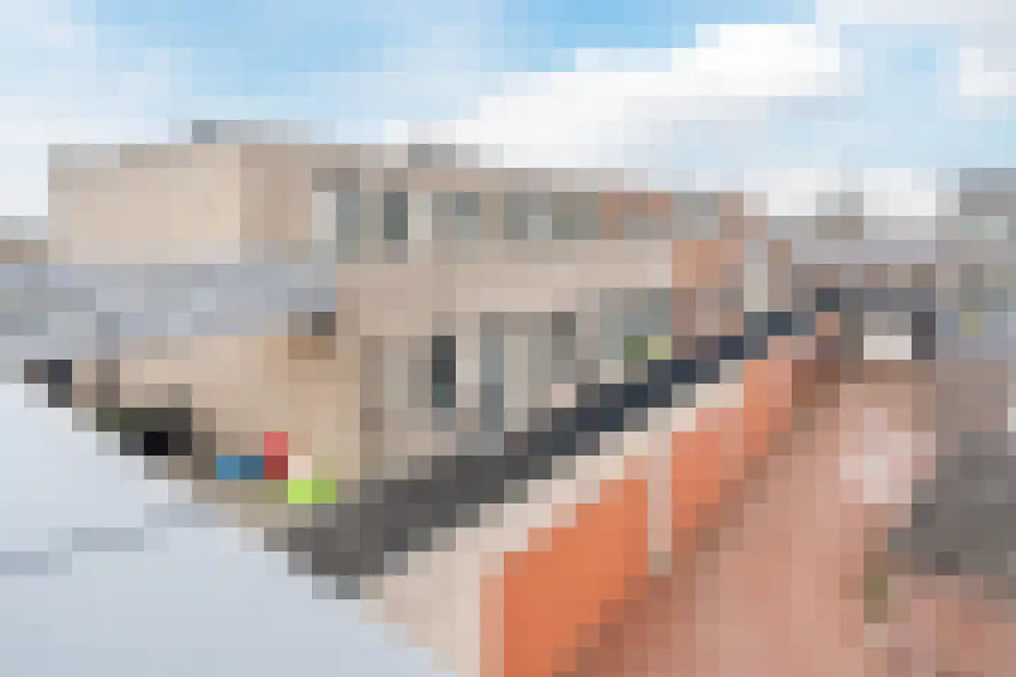 Meeuwenstraat 29 Hoofddorp thumbnail 17