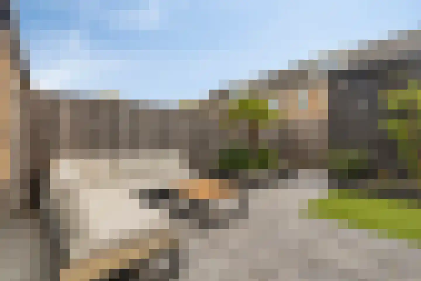 Meeuwenstraat 29 Vlaardingen thumbnail 11