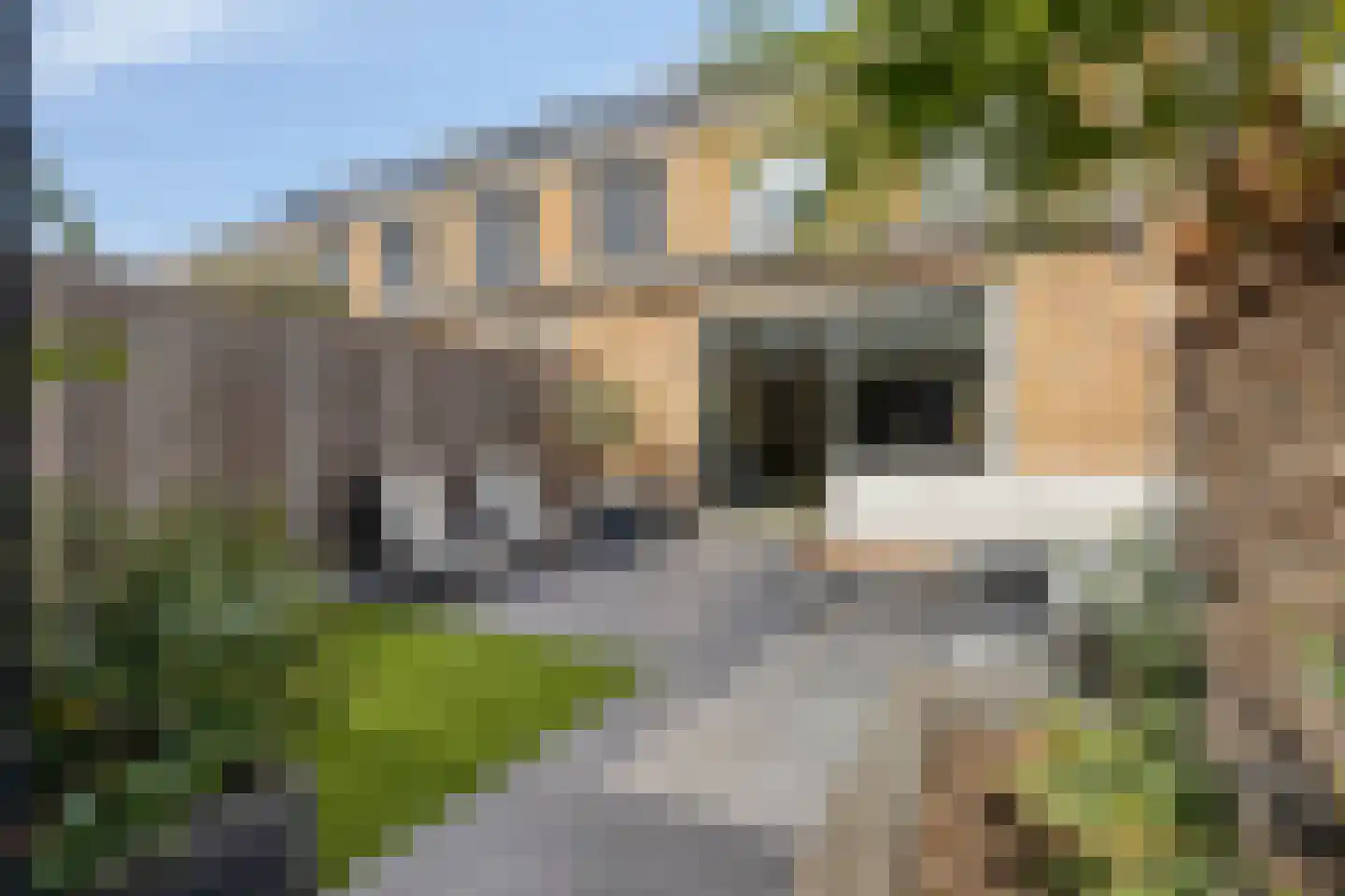 Meeuwenstraat 29 Vlaardingen thumbnail 12
