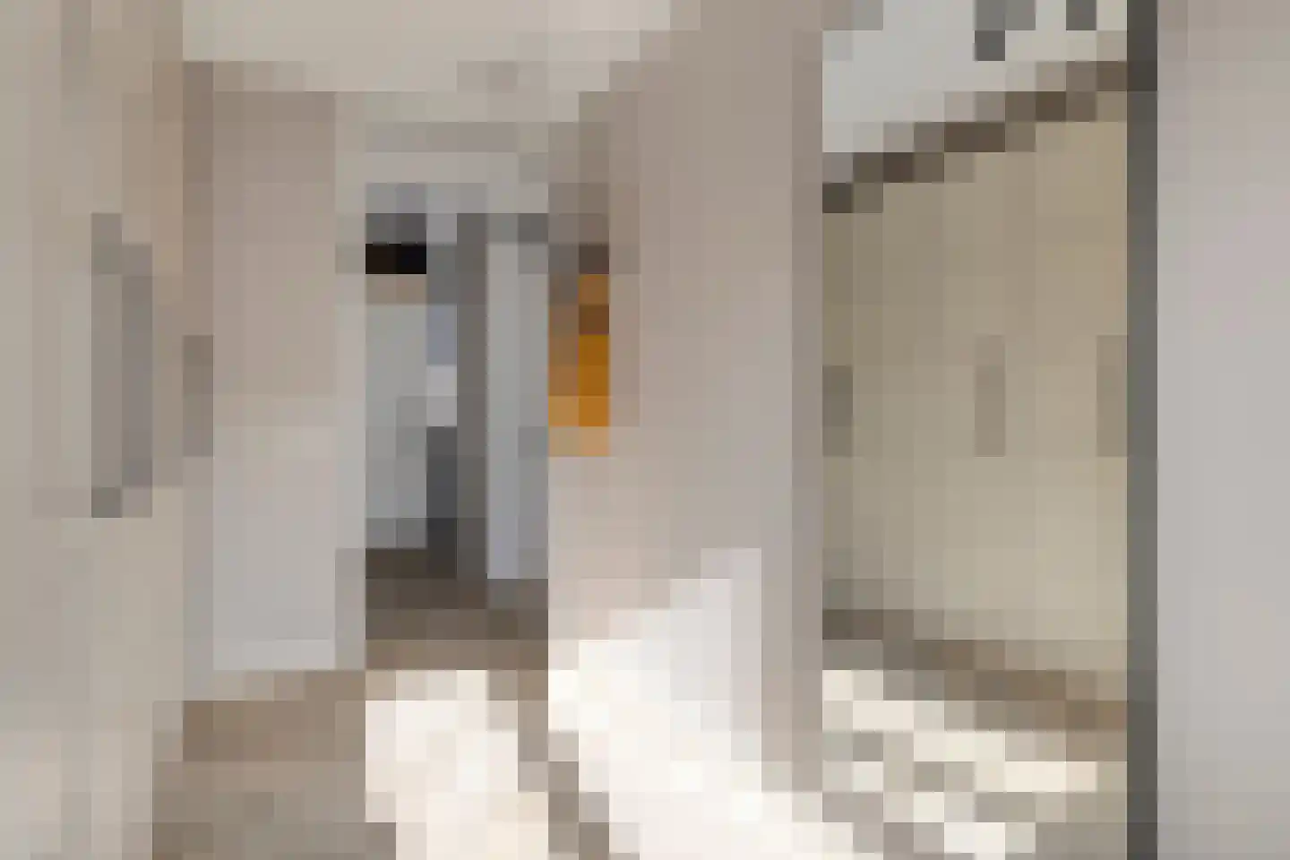 Meeuwenstraat 29 Vlaardingen thumbnail 18