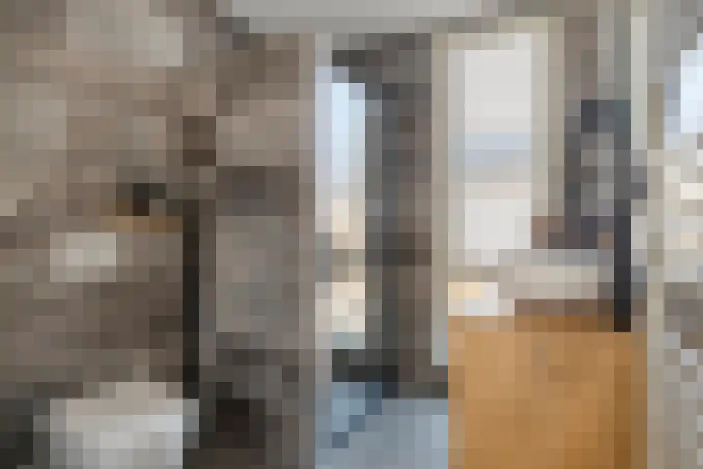 Meeuwenstraat 29 Vlaardingen thumbnail 19