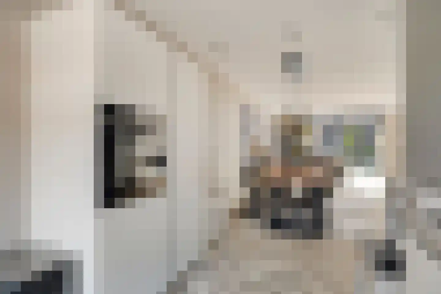 Meeuwenstraat 29 Vlaardingen thumbnail 8