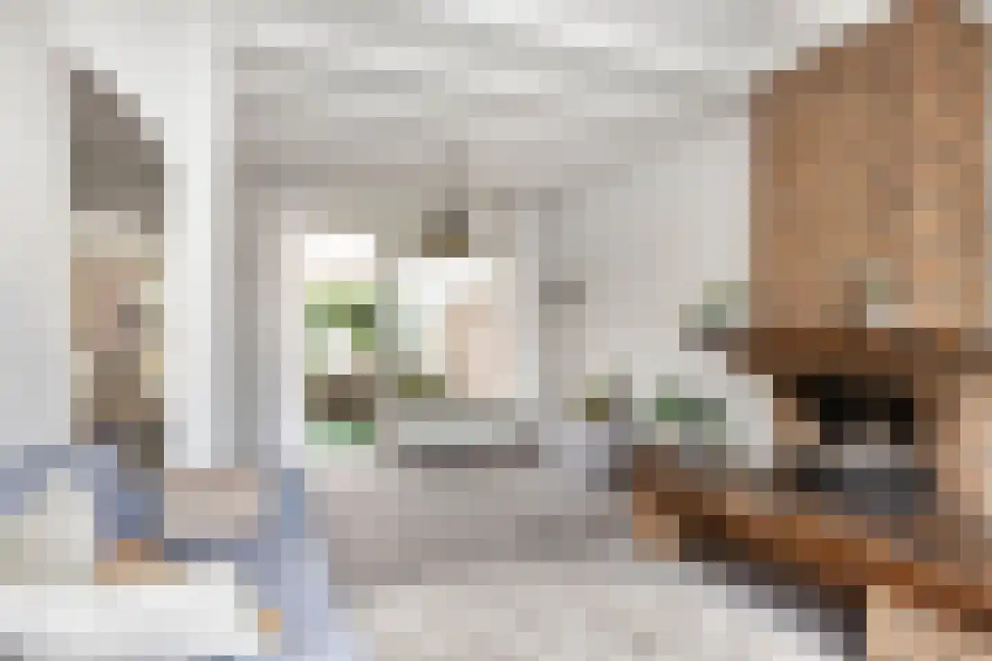 Meeuwenstraat 3 Oldenzaal thumbnail 13