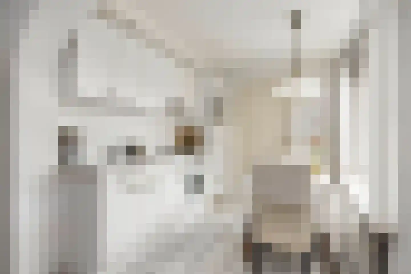 Meeuwenstraat 3 Oldenzaal thumbnail 15