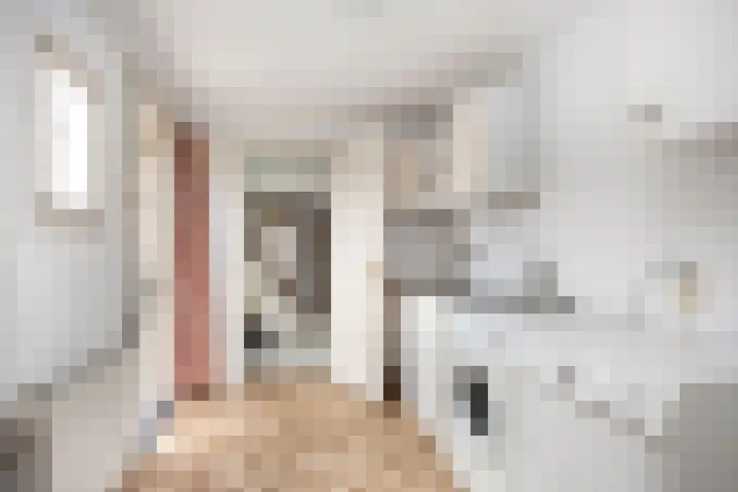 Meeuwenstraat 3 Oldenzaal thumbnail 17
