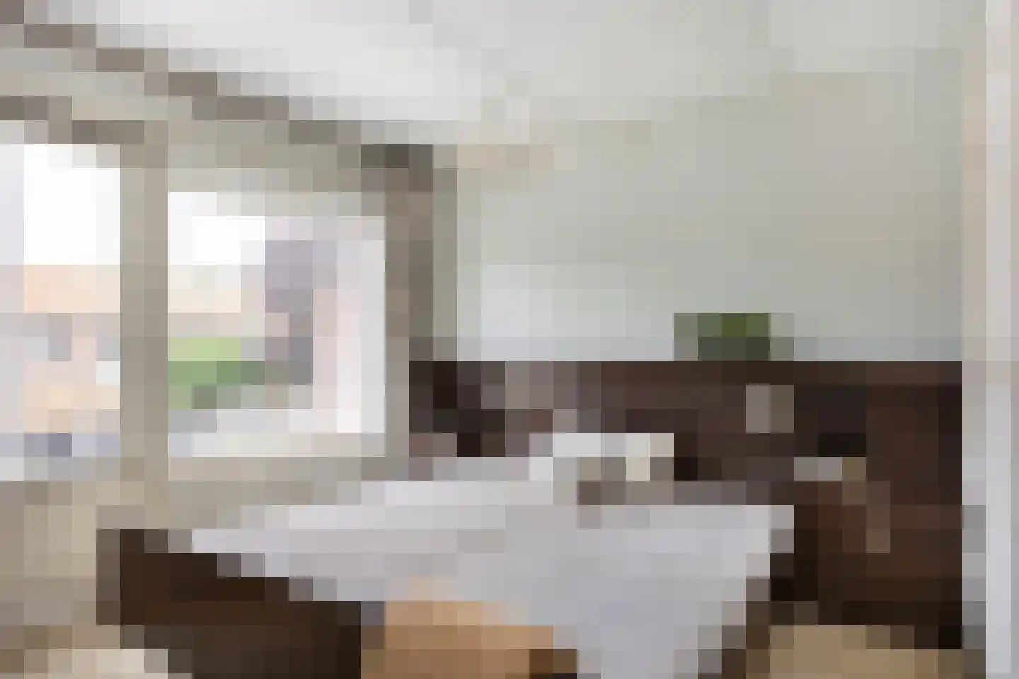 Meeuwenstraat 3 Oldenzaal thumbnail 18