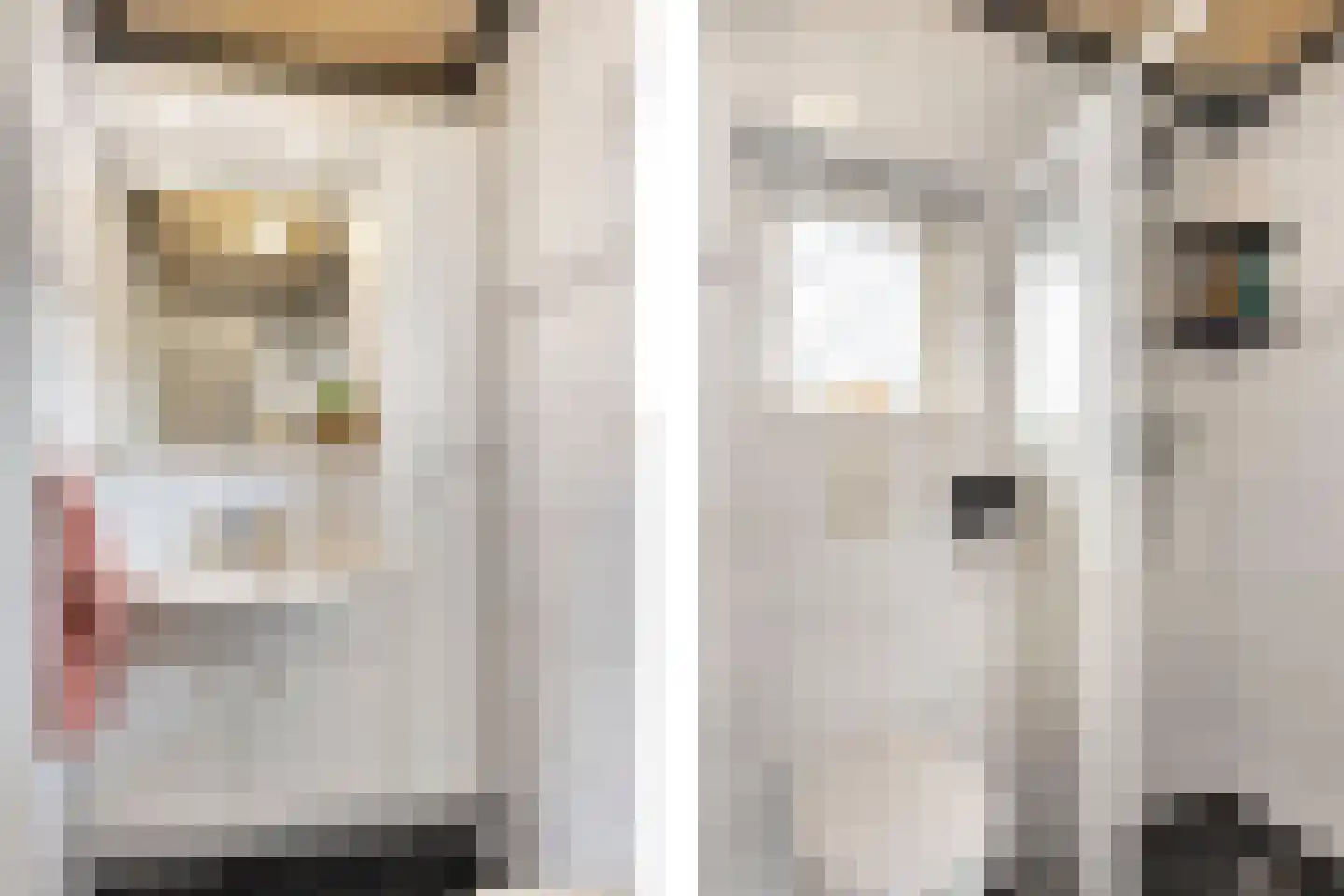 Meeuwenstraat 3 Oldenzaal thumbnail 21