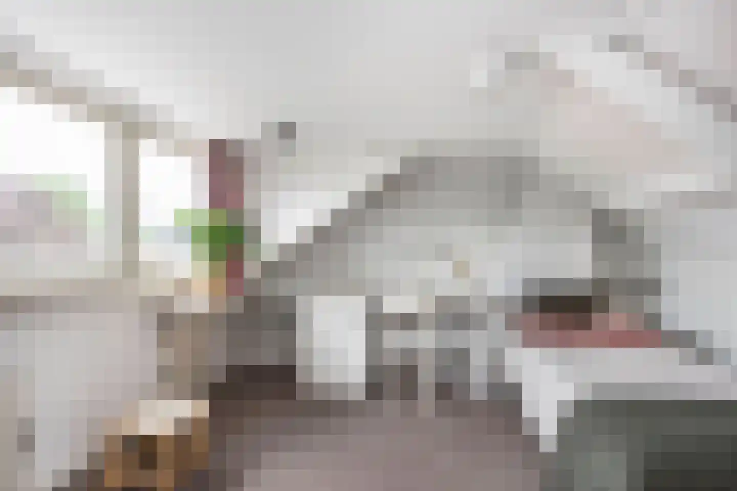 Meeuwenstraat 3 Oldenzaal thumbnail 22