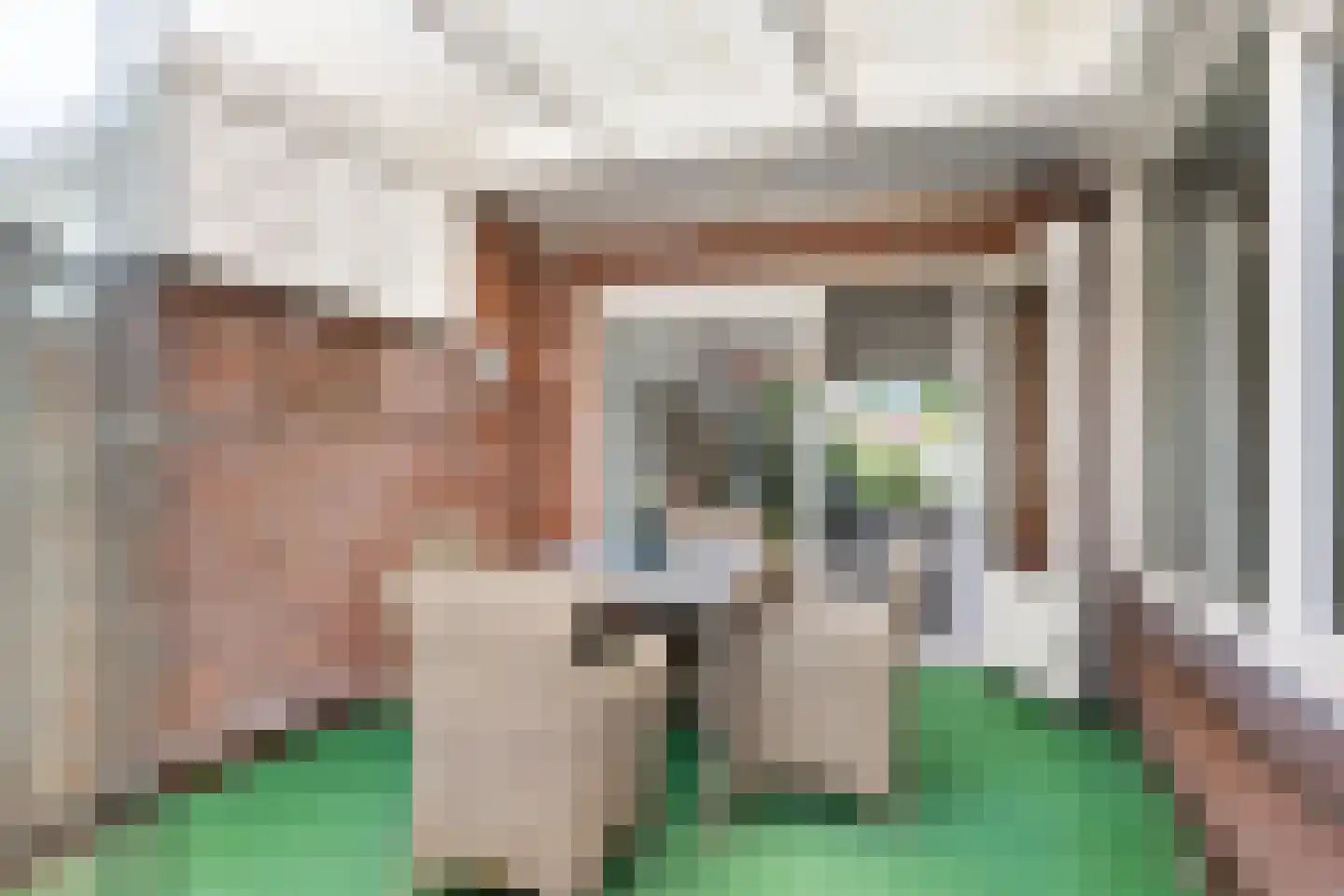Meeuwenstraat 3 Oldenzaal thumbnail 24