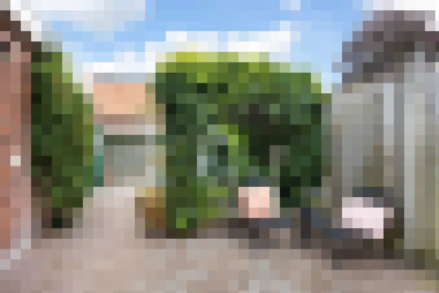 Meeuwenstraat 3 Oldenzaal thumbnail 4