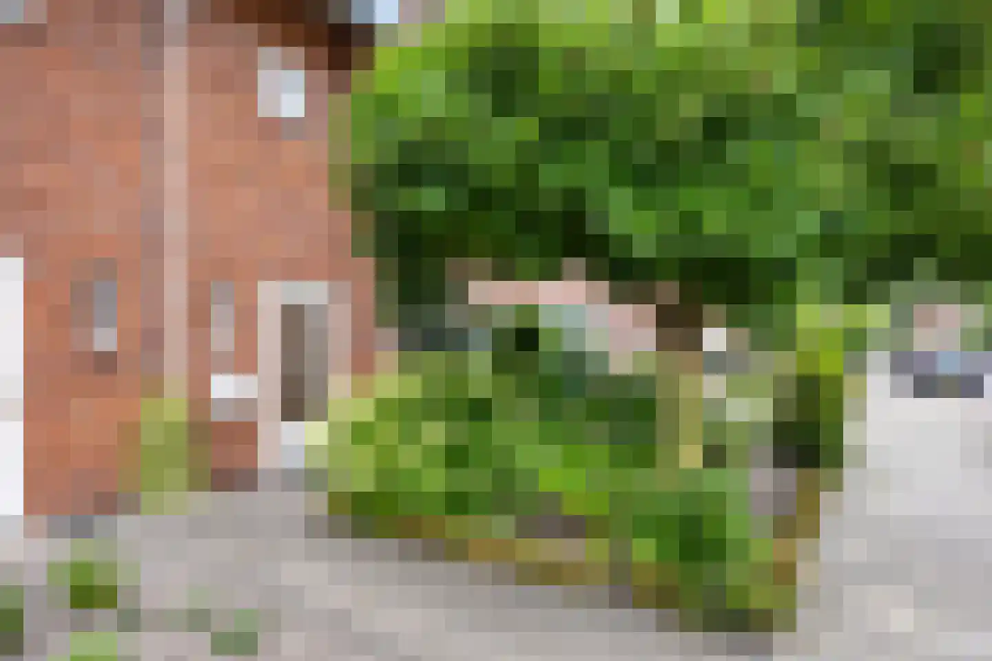 Meeuwenstraat 3 Oldenzaal thumbnail 6