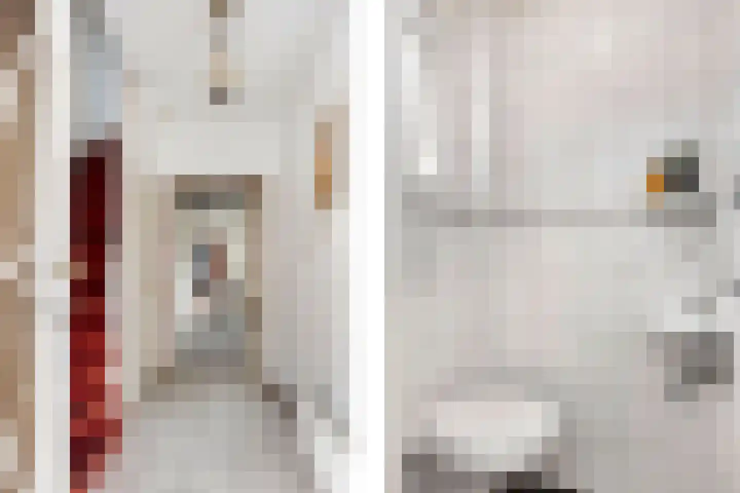 Meeuwenstraat 3 Oldenzaal thumbnail 8
