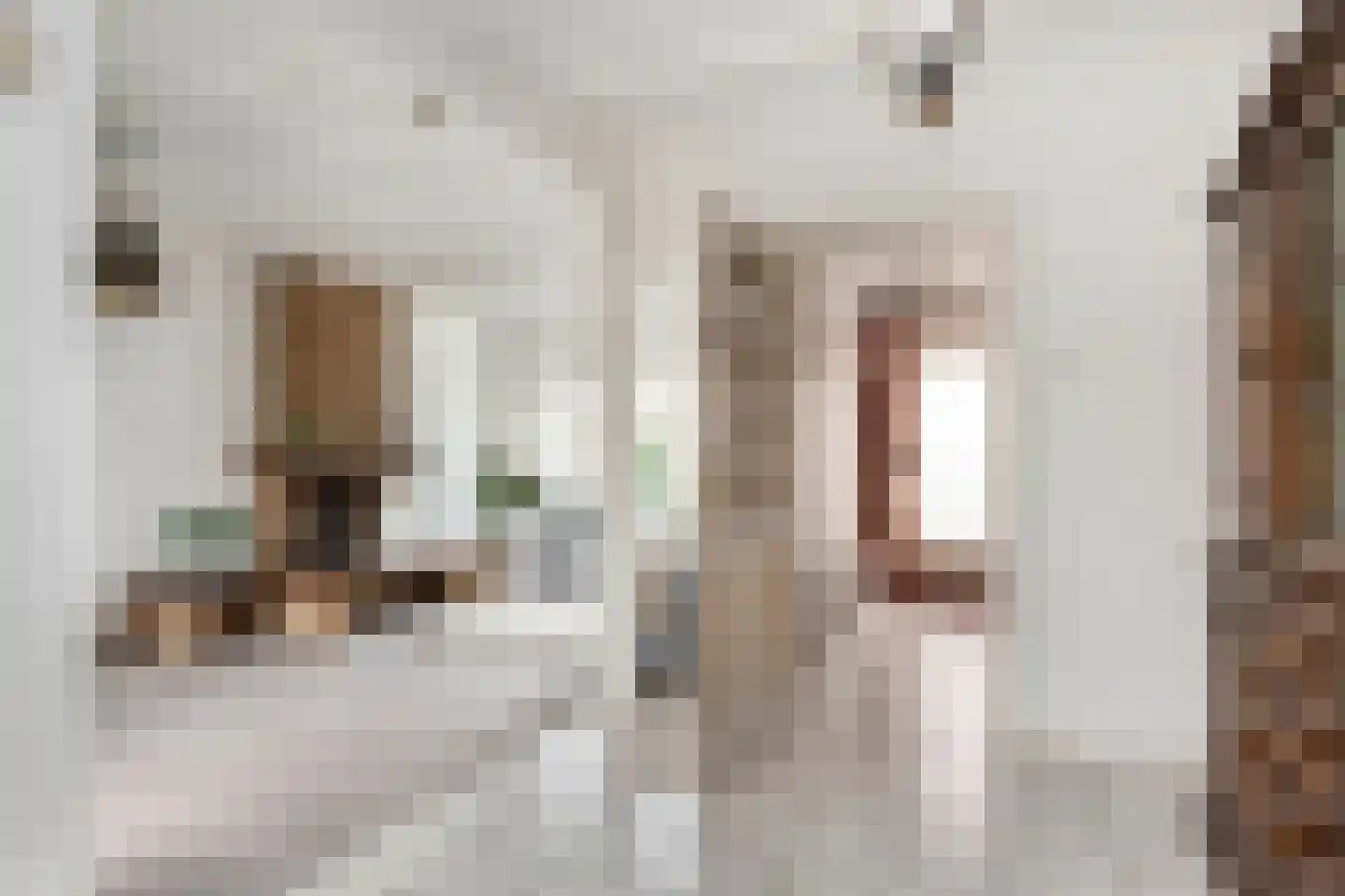 Meeuwenstraat 3 Oldenzaal thumbnail 9