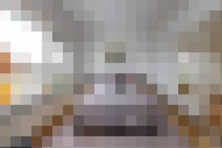 Meeuwenstraat 32 Foxhol thumbnail 12