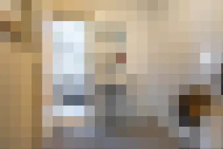 Meeuwenstraat 32 Foxhol thumbnail 22