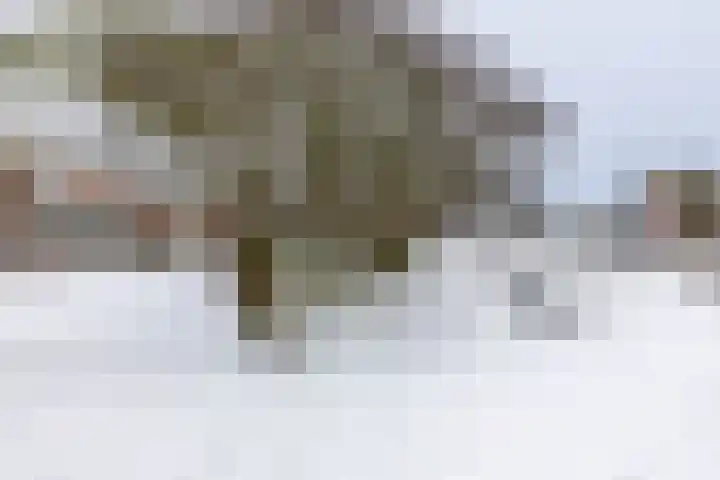 Meeuwenstraat 32 Foxhol thumbnail 36