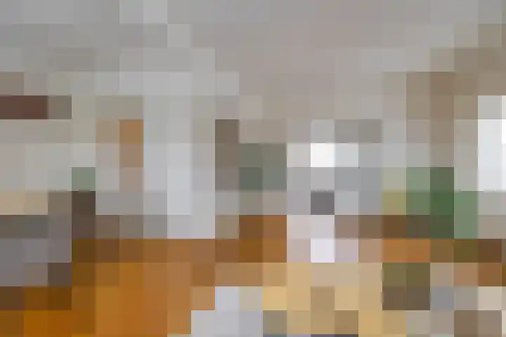 Meeuwenstraat 32 Foxhol thumbnail 8