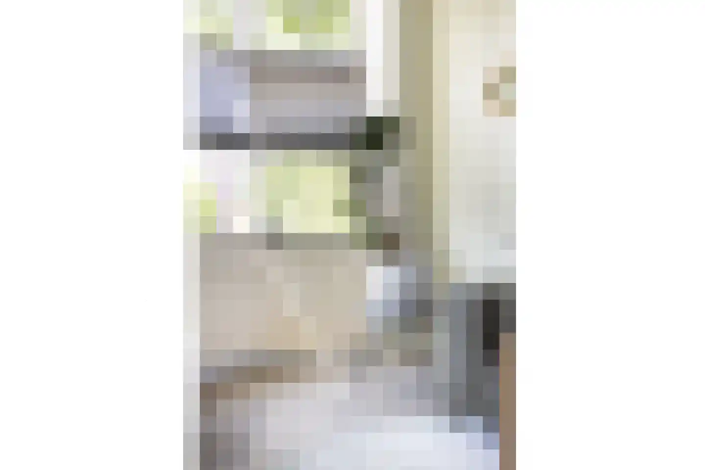 Meeuwenstraat 38 Haarlem thumbnail 16
