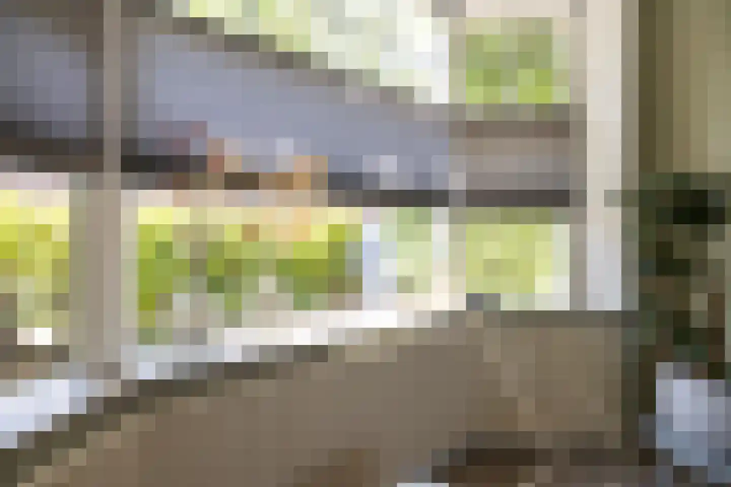 Meeuwenstraat 38 Haarlem thumbnail 17