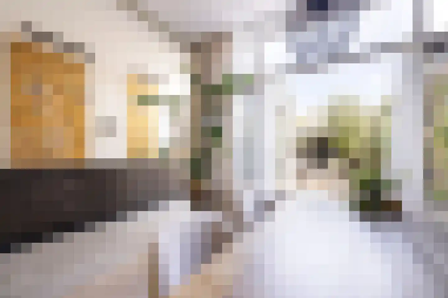 Meeuwenstraat 38 Haarlem thumbnail 22