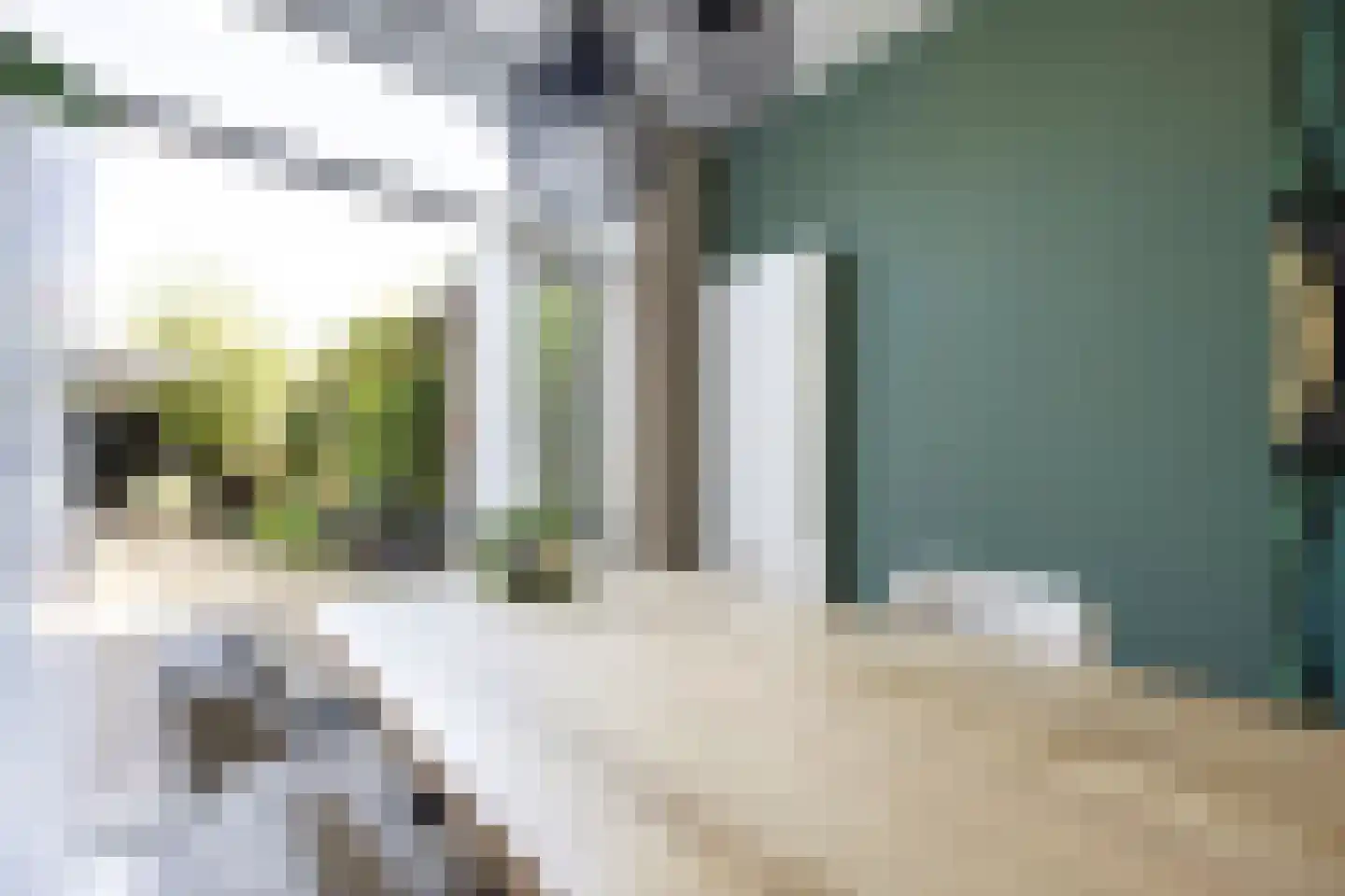 Meeuwenstraat 38 Haarlem thumbnail 23