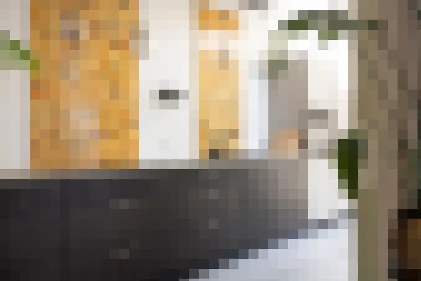 Meeuwenstraat 38 Haarlem thumbnail 24