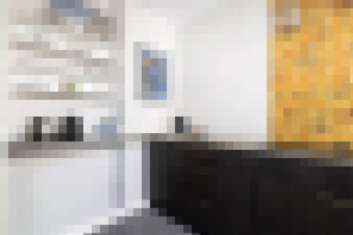Meeuwenstraat 38 Haarlem thumbnail 26