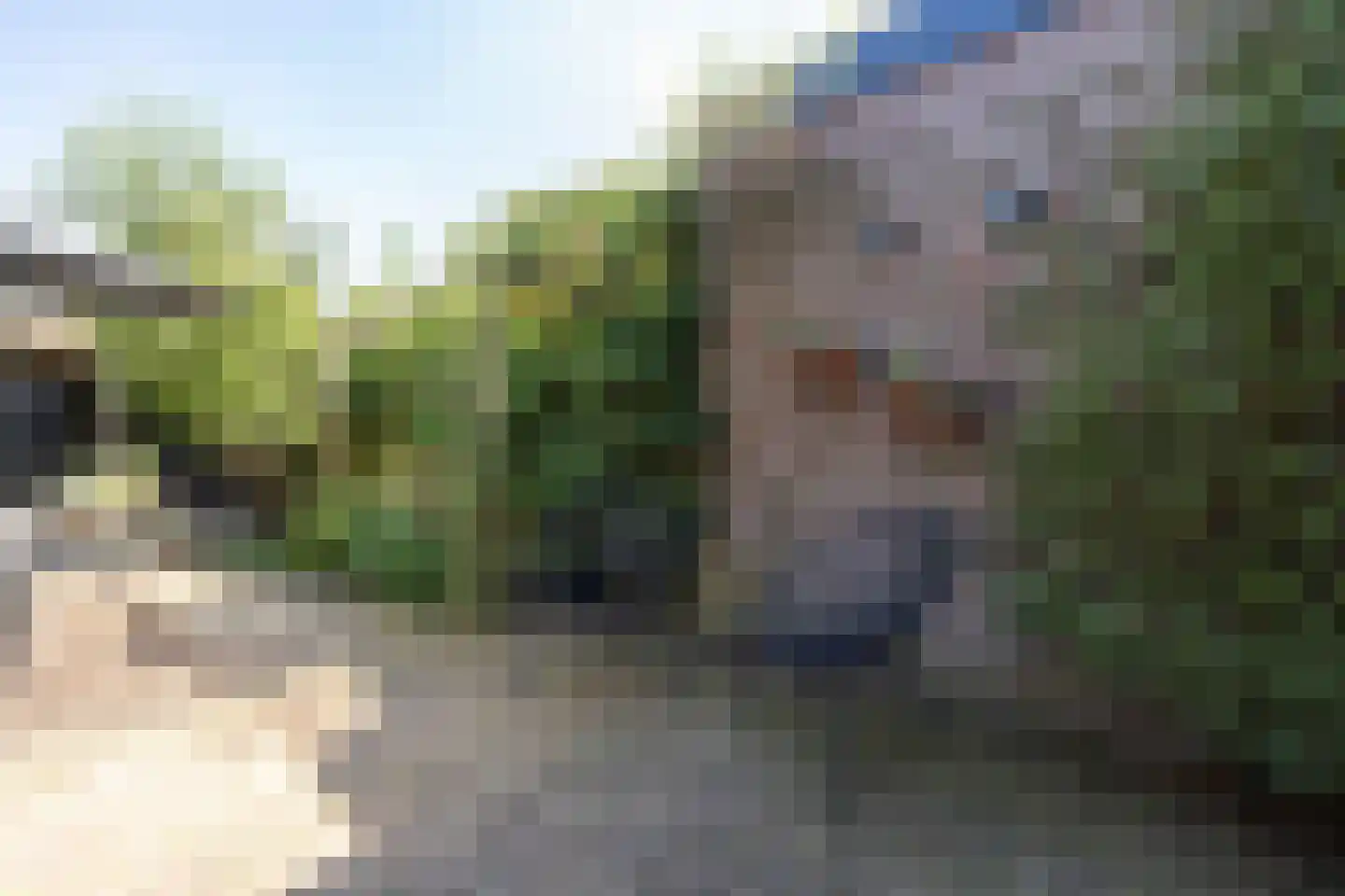 Meeuwenstraat 38 Haarlem thumbnail 33