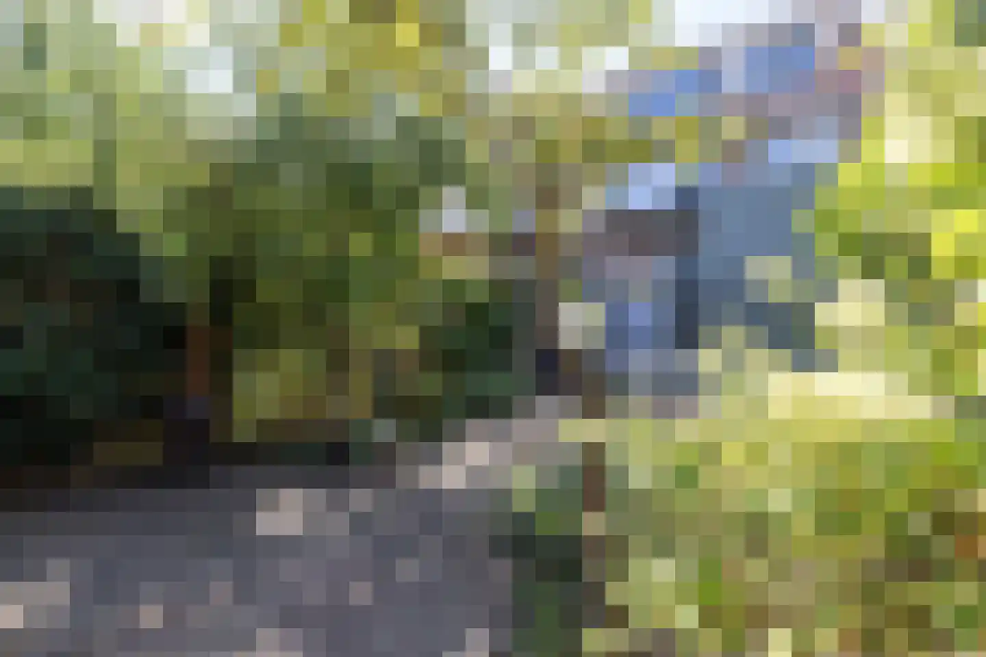 Meeuwenstraat 38 Haarlem thumbnail 35