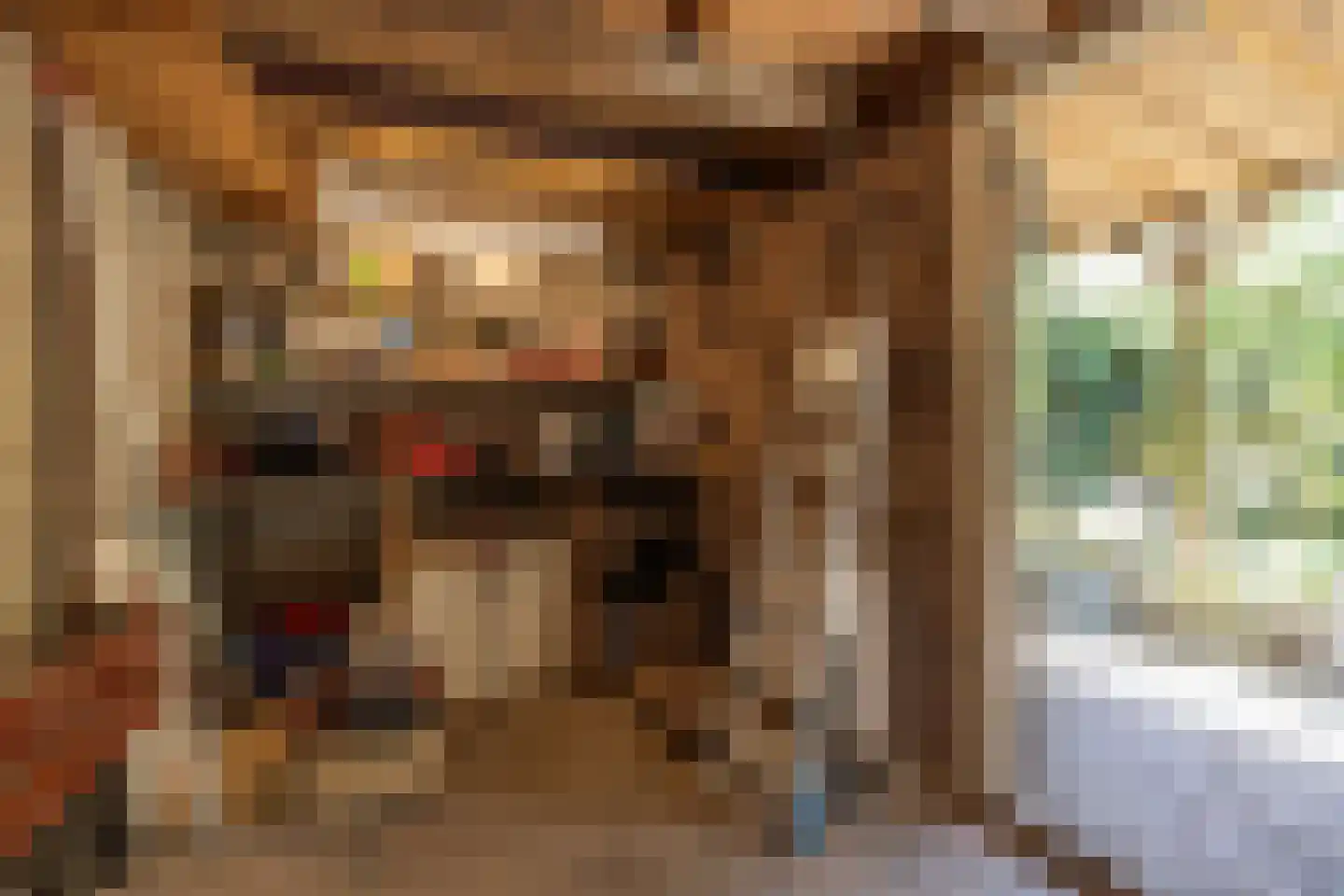 Meeuwenstraat 38 Haarlem thumbnail 37