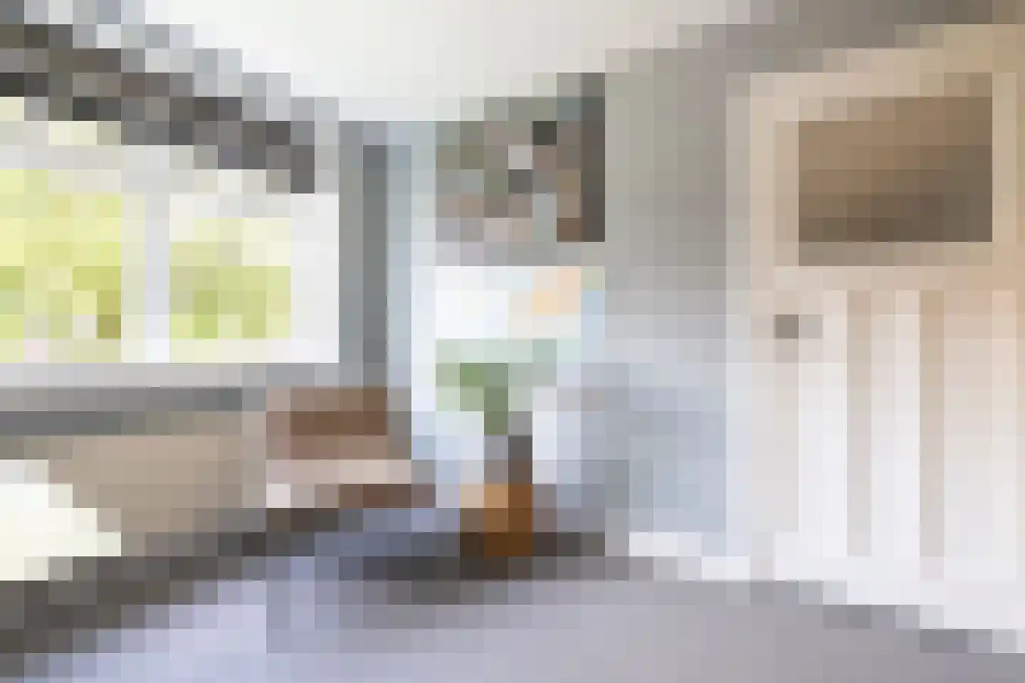 Meeuwenstraat 38 Haarlem thumbnail 43