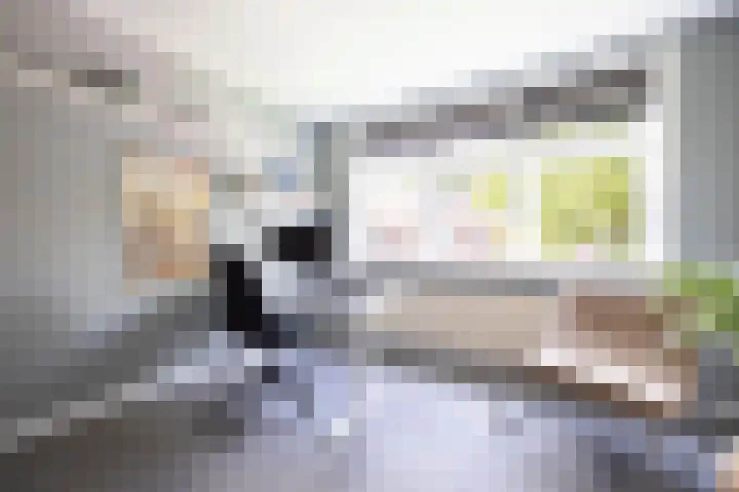 Meeuwenstraat 38 Haarlem thumbnail 44